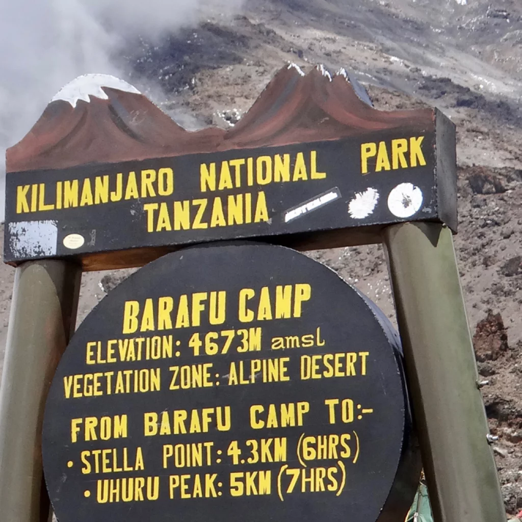 Day 5: Karanga Camp to Barafu Camp