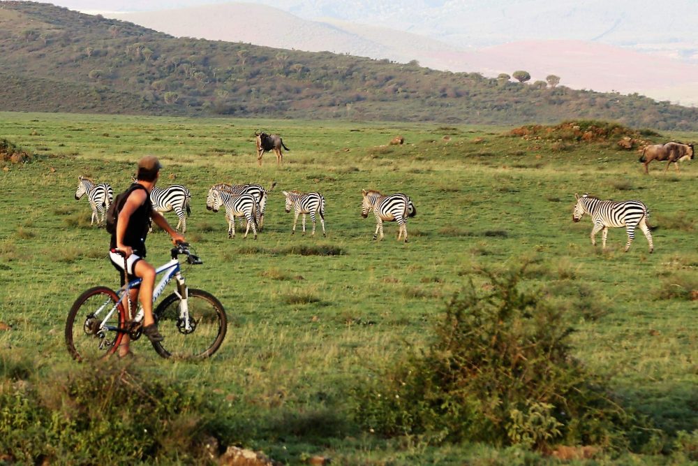 Day 5: Full Day in Serengeti