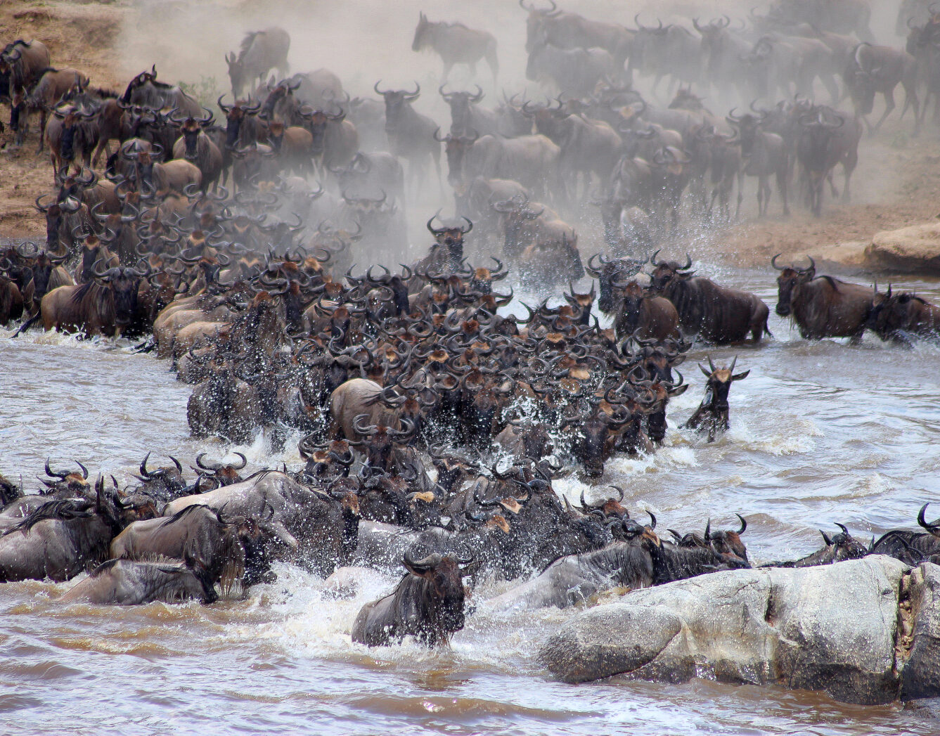 Day 4: Full Day in Southern Serengeti