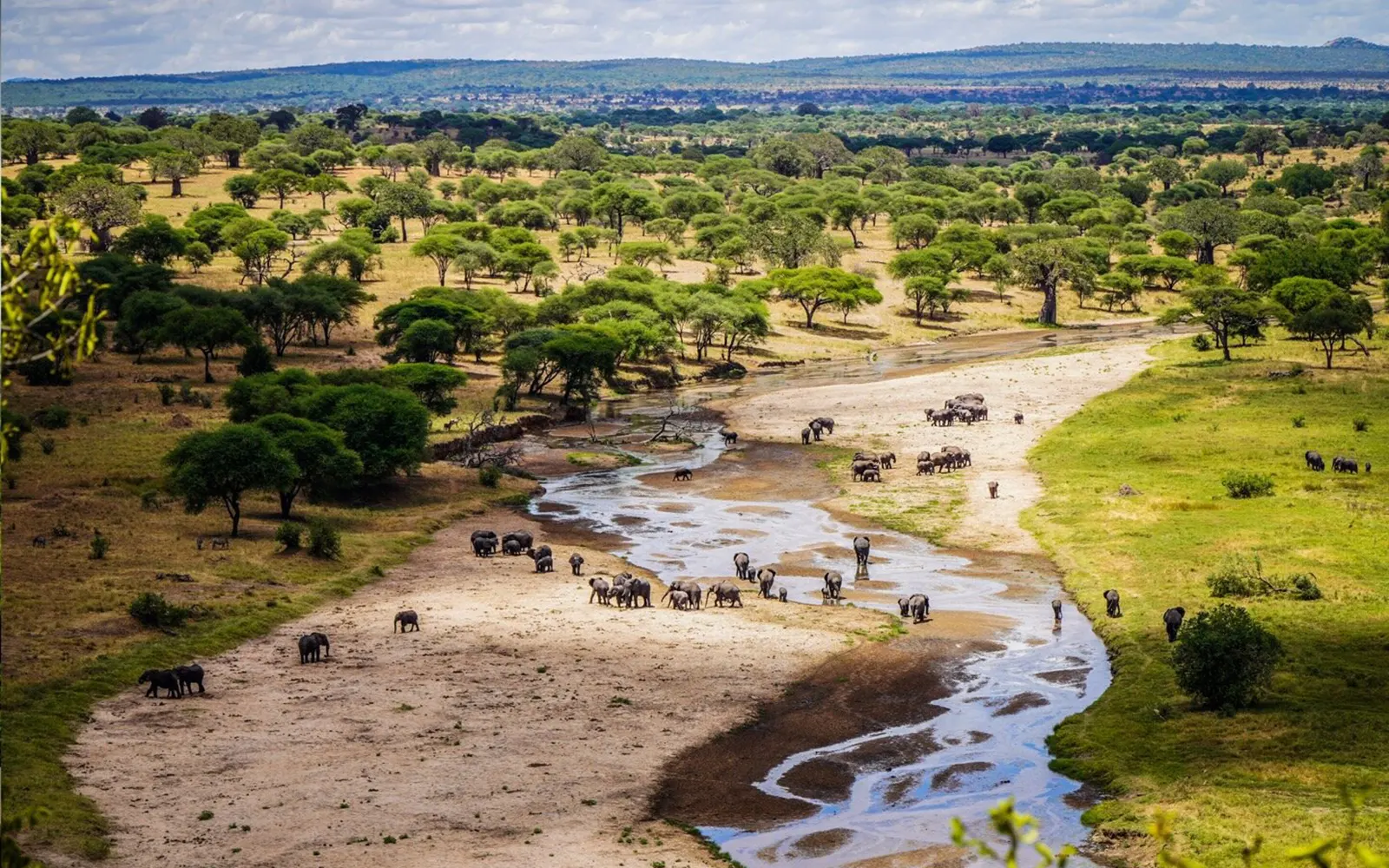 Day 2: Tarangire National Park